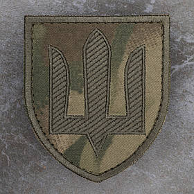 Шеврон Тризуб СВ ЗСУ Сухопутні війська олива мультикам