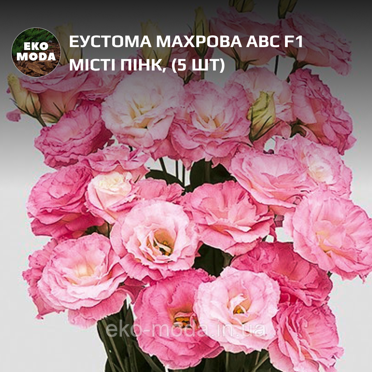 Еустома махрова ABC F1 Місті Пінк, (5 шт zip-пакет), фото 1