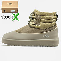 Женские ботинки UGG 2677  Classic Mini Lace-Up Weather Boot жіночі зимові угги