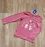 Лонгслів кофта реглан Lupilu для дівчинки / трикотаж / 110-116 / 4--6 років, фото 2