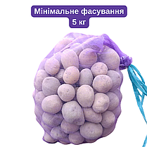 Насіннєва картопля Гала (Gala), 70-80 днів 2 репродукція, фото 3