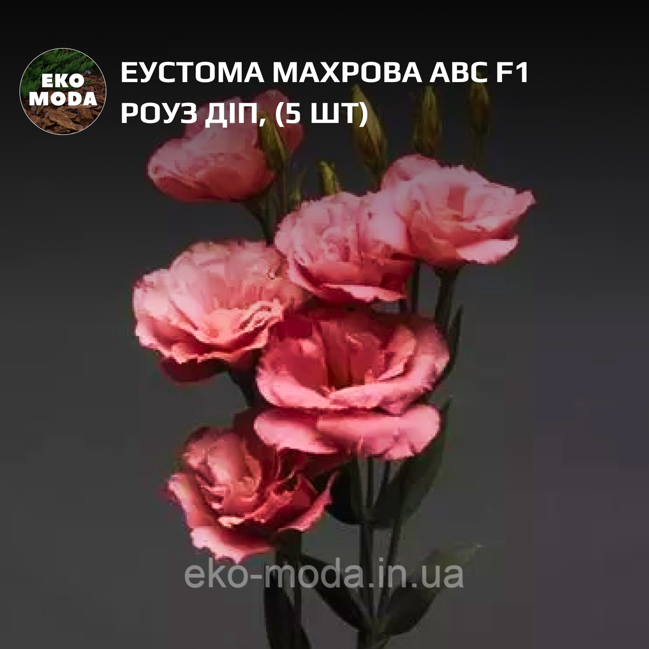 Еустома Флаер F1 роуз діп, (5 шт zip-пакет)