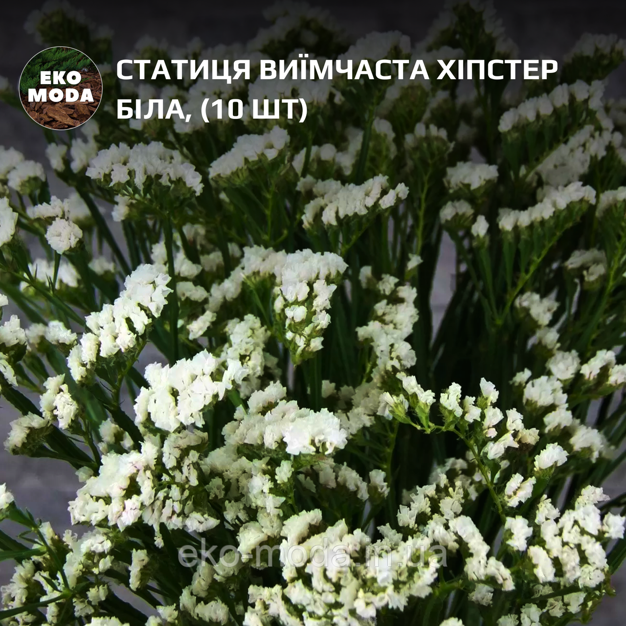 Статиця виїмчаста Хіпстер біла (10 шт zip-пакет)