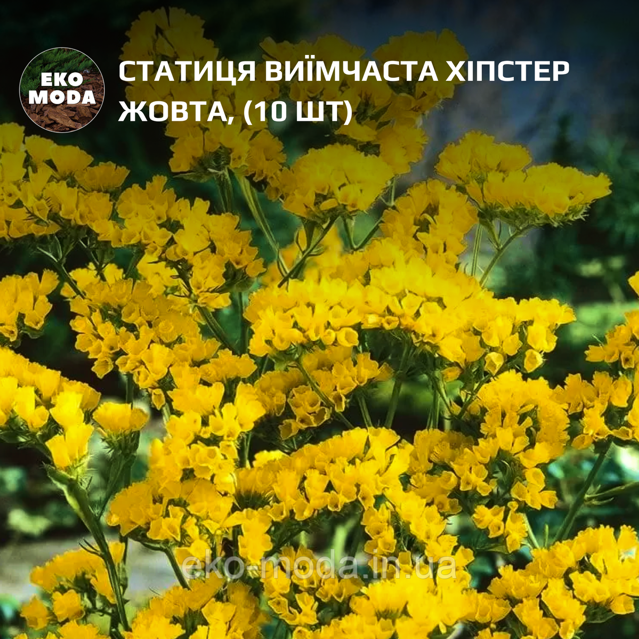 Статиця виїмчаста Хіпстер жовта (10 шт zip-пакет)