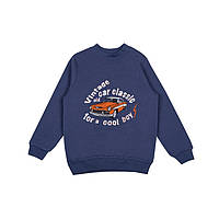 Джемпер для мальчика Gabbi DG-24-10 Синий 134 (14204) D13-2026