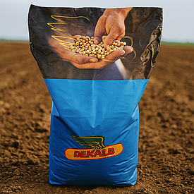 Насіння кукурудзи, Monsanto, DKС 5141, ФАО 430