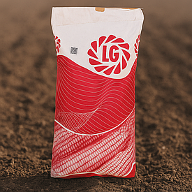 Семена кукурузы, Limagrain, LG 30189, ФАО 210