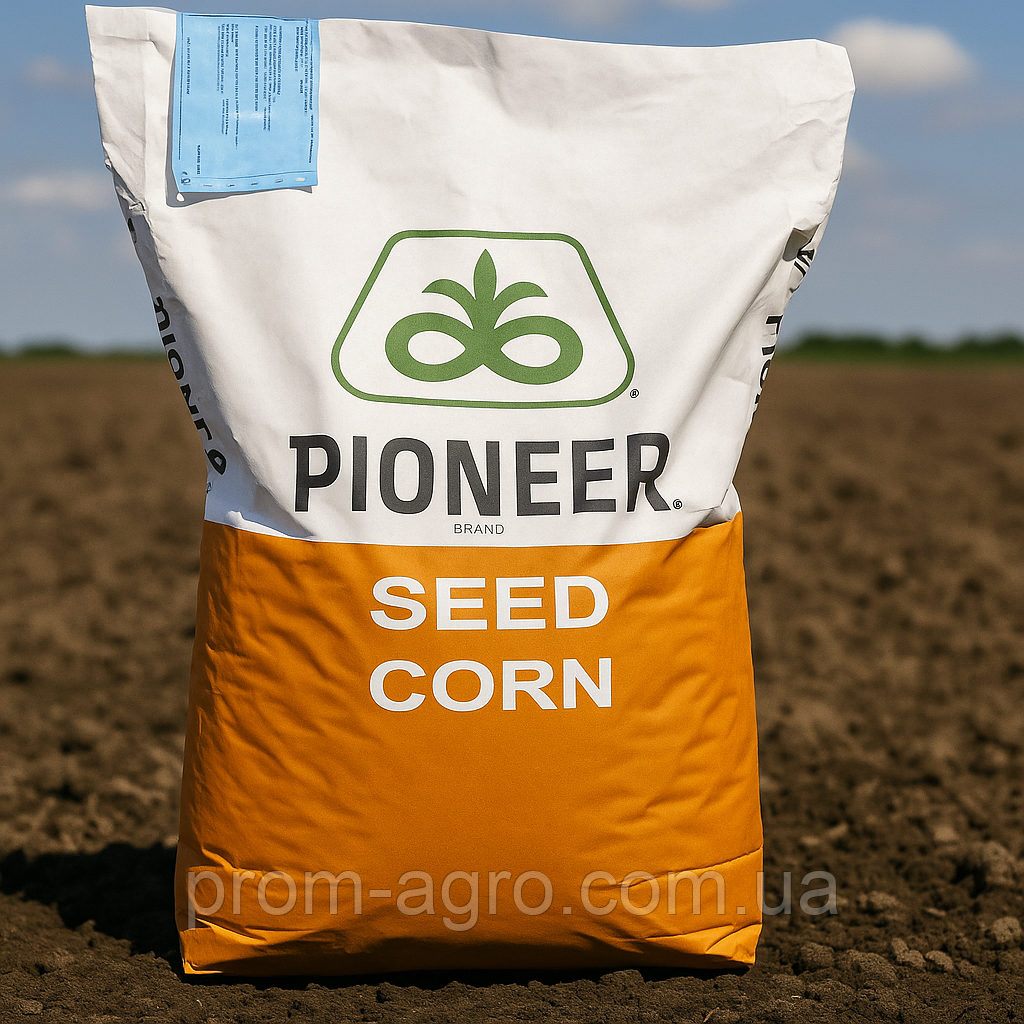 Семена кукурузы, PIONEER, P9718E, ФАО 390, Пионер
