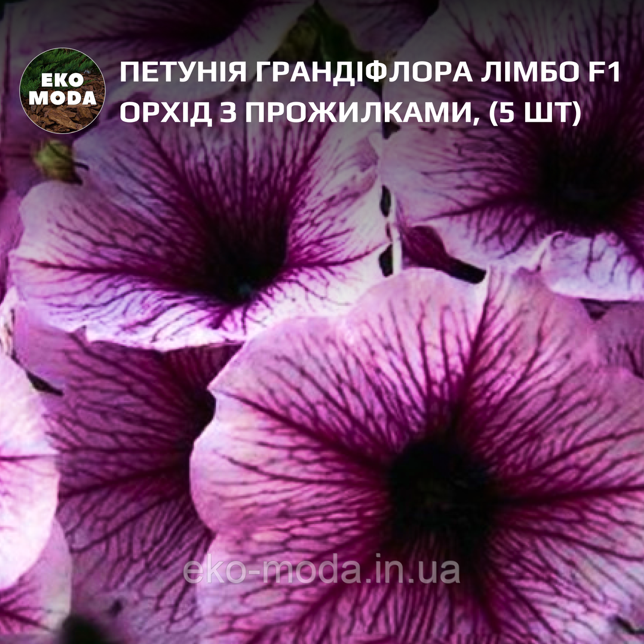 Петунія Грандіфлора лімбо F1 орхід з прожилками, (5 шт zip-пакет)