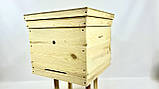 Вулик дадан 12- рамковий 1 корпус з гігієнічним дном, фото 7