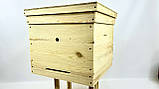Вулик дадан 12- рамковий 1 корпус з гігієнічним дном, фото 6