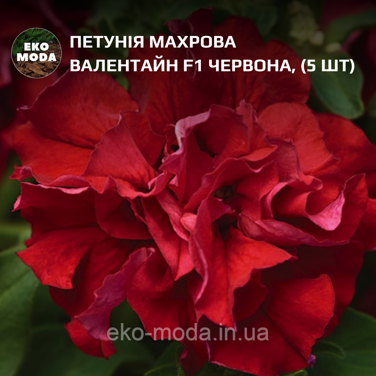 Петунія махрова Валентайн F1 червона (5 шт zip-пакет)