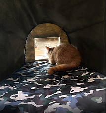 Термодім для котів і собак | Тепле вуличне укриття, зимовий водонепроникний будиночок, утеплений притулок для тварин XL 60х45х40см, фото 3