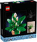 Конструктор Lego Botanicals Cпатифілум 11504, фото 2