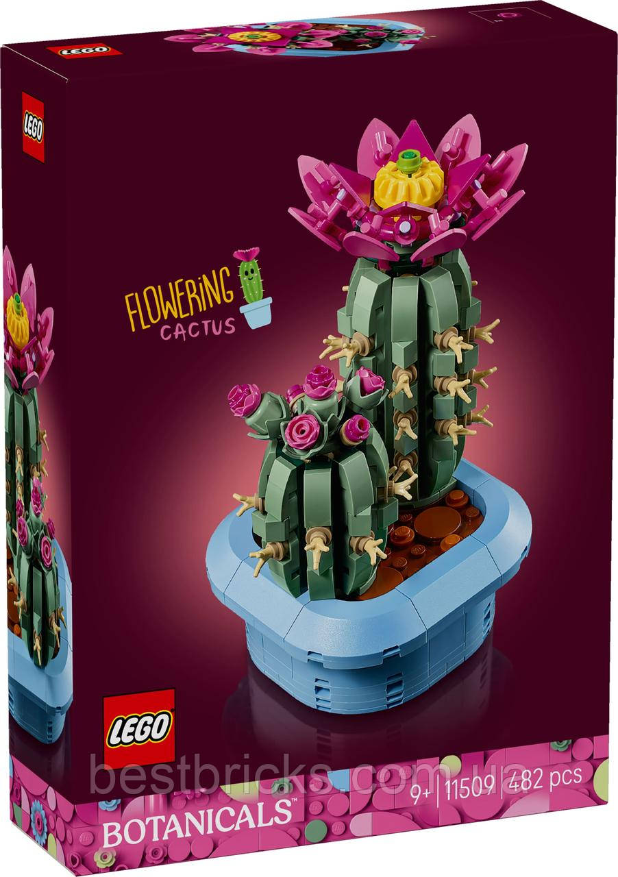 Конструктор Lego Botanicals Цвітіння кактуса 11509, фото 1