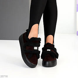 Новинки Щодня