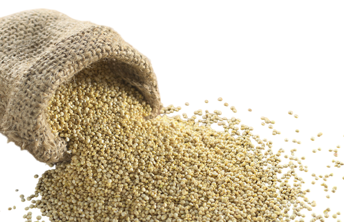 Зерно амаранту органічне без глютену 20 кг ТМ Ahimsa