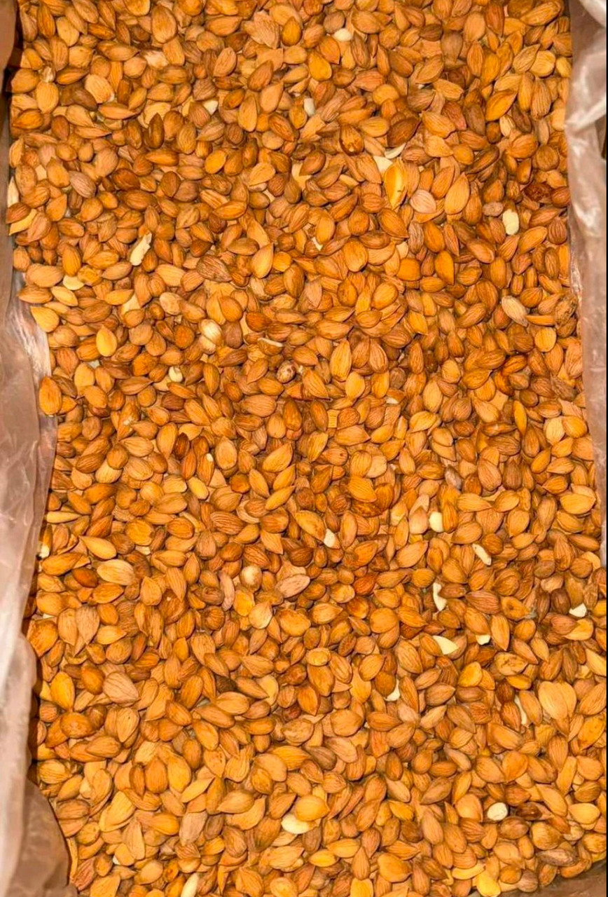 Абрикосова кісточка 1 кг