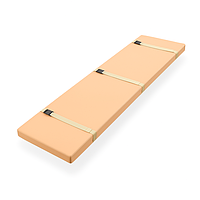 Матрац МТ для нош і візків ТПБ для перевезення хворих ТМ Омега