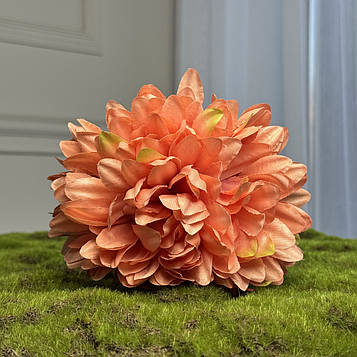 Хризантема штучна темно-персикова із салатовими кінчиками 8 см, 12 шт. Хризантема для декору Д - 16 см