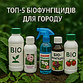 Топ-5 біофунгіцидів для городу