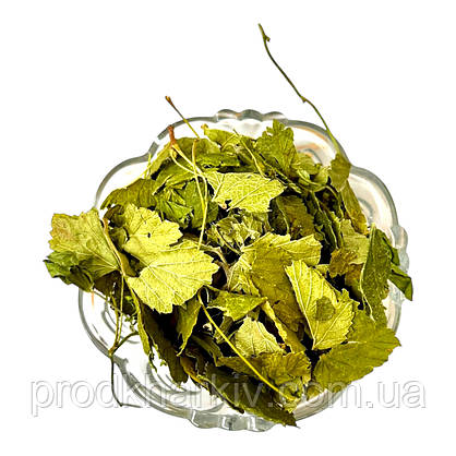 Лист черной смородины 200 грамм, фото 3