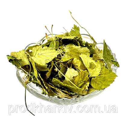 Лист черной смородины 200 грамм, фото 5