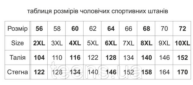 Розмірна сітка Чоловічі спортивні штани teens.ua