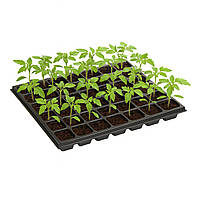 Касета для розсади на 35 комірок Уцінка