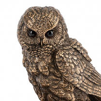 Статуетка Сова на книзі 16.5*16*10.5см, "Veronese" (74109A4), фото 4