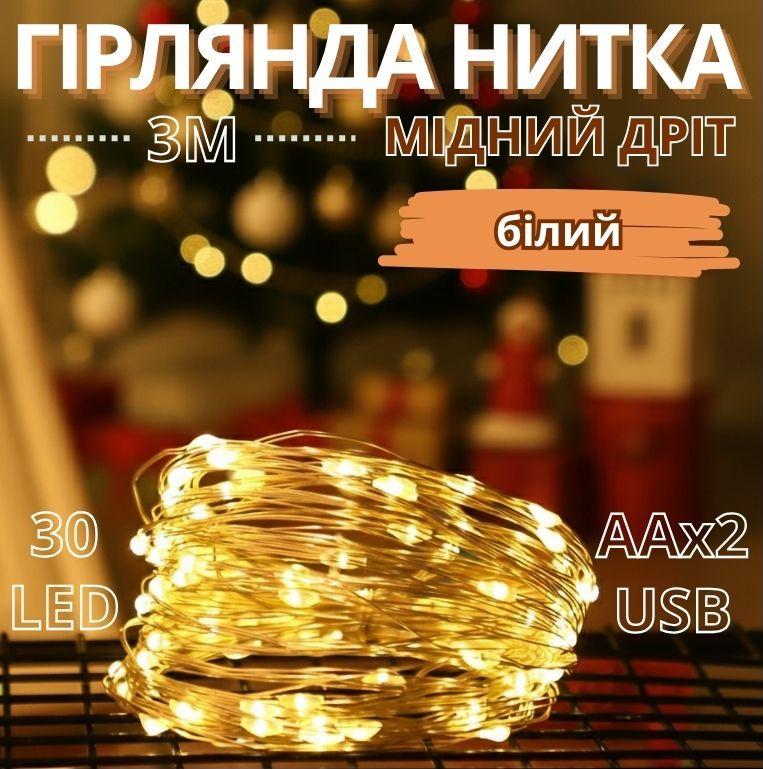 Гірлянда мідний дріт на батарейках AAx2 USB 30LED 3,0м (білий) COPPER-WIRE-30W-1 300шт 8401, фото 1