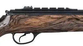 Як вибрати пневматичну гвинтівку для початківців: повний гід від виробника