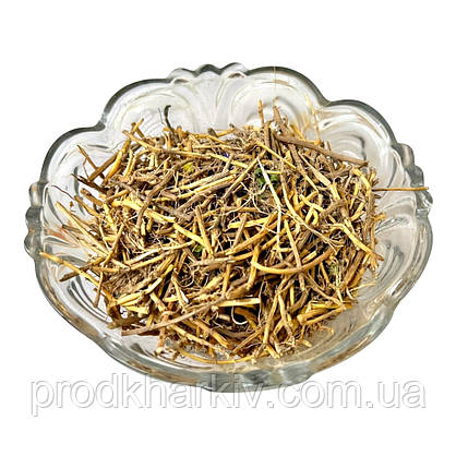 Корінь пирея 500 Грамм, фото 4