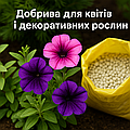 Добрива для квітів і декоративних рослин