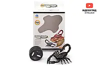 Робот на радіокеруванні Скорпіон з акумулятором в асортименті 9992