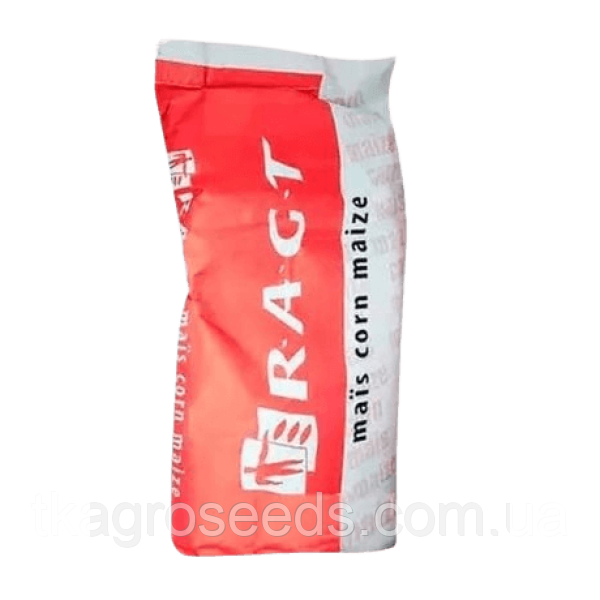 Насіння кукурудзи гібрид РЖТ ОККСІТОП, фото 1