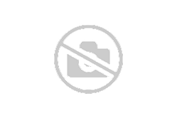 Елемент ф/повітряного (без дна) 238Н-1109080