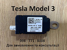 Підсилювач антени,  FM радіо Tesla Model 3 (1079735-00-A) Оригінал