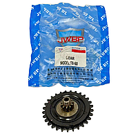 Зірка варіатора задня (пластмас) з валом TB-60 JWBP