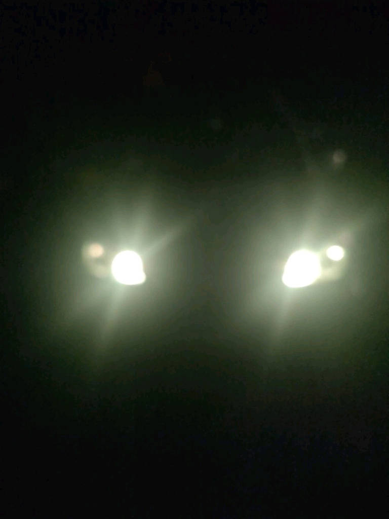 Світлодіодна лампа в габарити T10 (W5W) Magic Light комплект + пульт ДК (зміна кольору та режиму роботи) - фото покупців 4