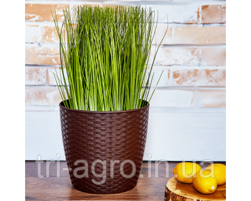 Вазон Ротанг з підставкою 16*15см темно-коричневий (шт.), фото 2