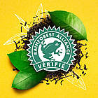 Чай в капсулах Nespresso Lipton Marrakech Mint Style, 10 шт., фото 6