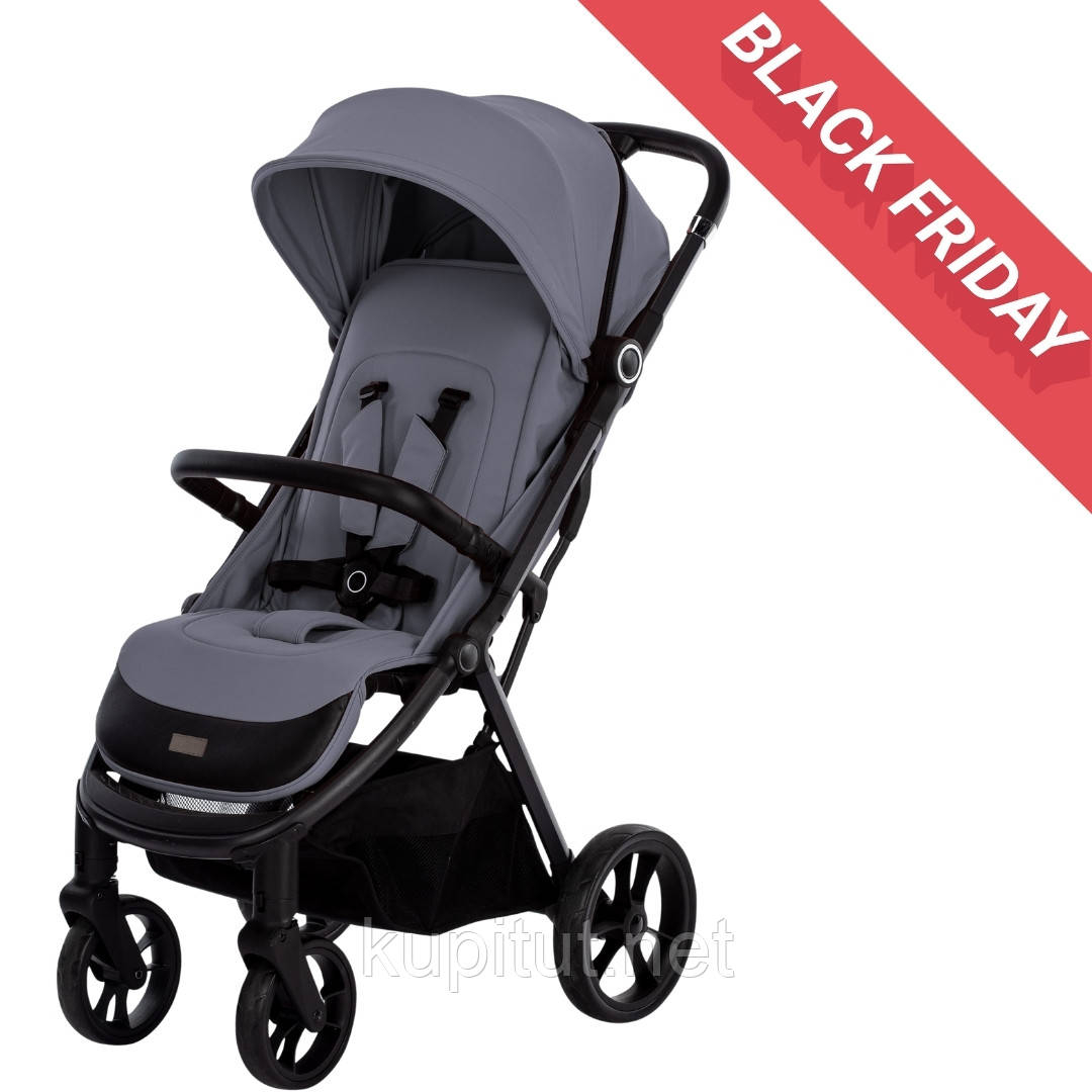 Коляска для дитини прогулянкова FreeON Dynamic, grey, фото 1