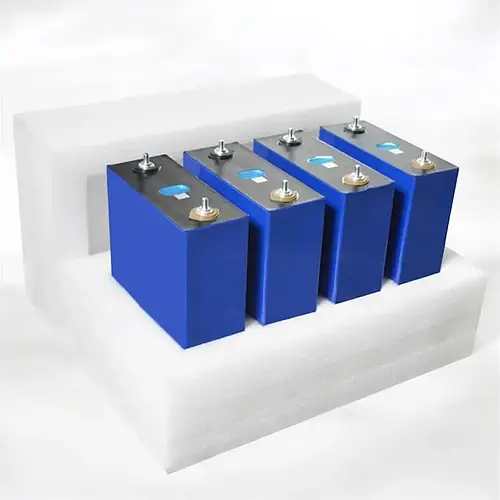 ⭐⭐⭐⭐⭐Prof-mag