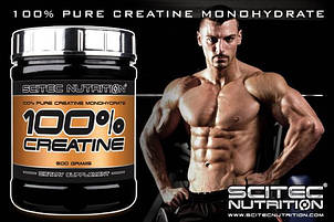 Креатин Моногідрат Scitec Nutrition 100% Creatine Monohydrate 300 г Угорщина, фото 3
