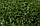 Штучна трава MoonGrass 15 мм, фото 2