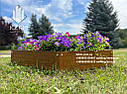 Клумба для квітів, золотий дуб, фото 5