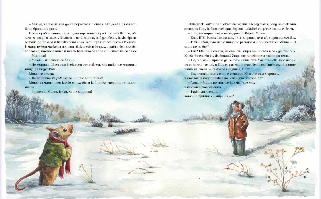 Product image preview