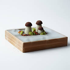 Короб сервірувальний для подачі страв з димом сухим льодом 30х25 см