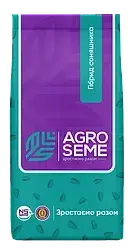 НС Х 8005 екстра плюс AGRO SEME, насіння соняшника під гранстар 7+ рас, фото 1